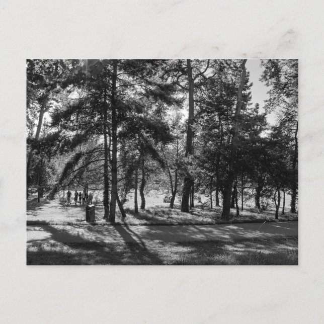 Carte Postale Bute Park en été après-midi. Cardiff Wales. (Devant)