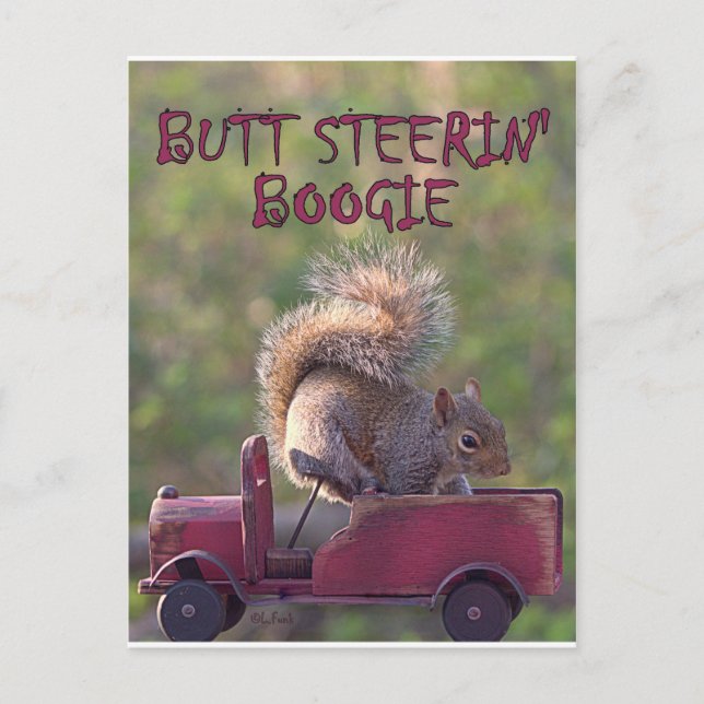 CARTE POSTALE BUTT STEERIN' BOOGIE (Devant)