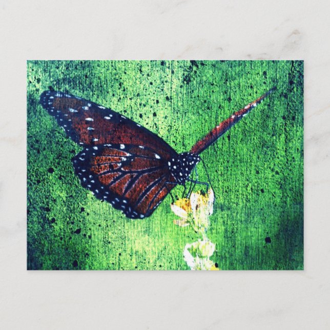Carte Postale Butterfly (Devant)