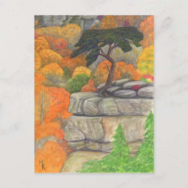 Carte postale Buzzard's Roost at Fall Creek Falls (Devant)
