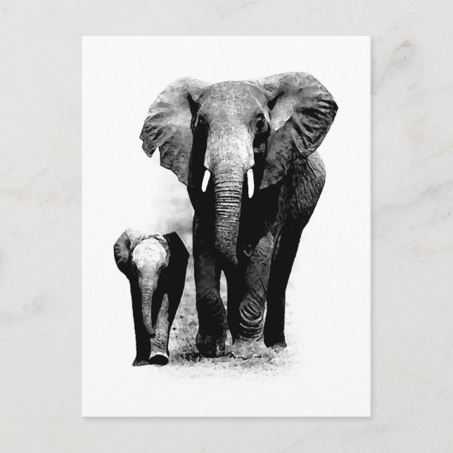 Carte Postale BW Elephant & Baby Elephant (Devant)