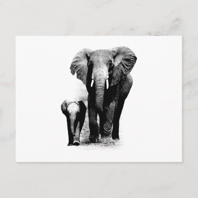 Carte Postale BW Elephant & Baby Elephant (Devant)
