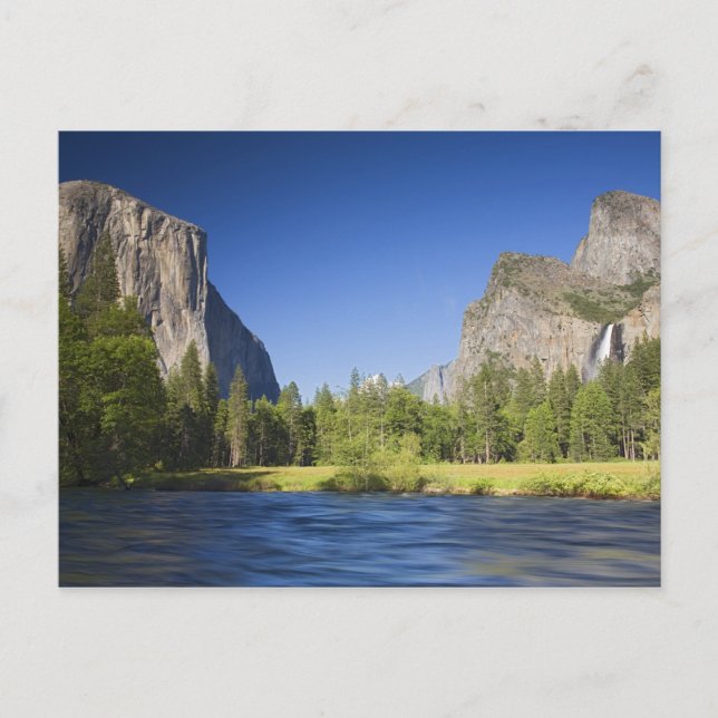 Carte Postale CA, Yosemite NP, Vallée avec El Capitan, (Devant)