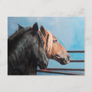Carte Postale Caballos/Cabalos/Chevaux