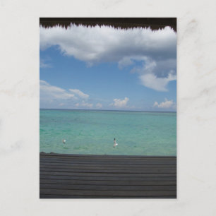 Carte postale Cabana à chaume