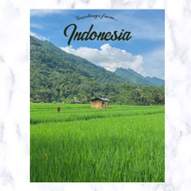 Carte Postale Cabane en bambou dans un champ de riz en Indonésie (Créateur téléchargé)