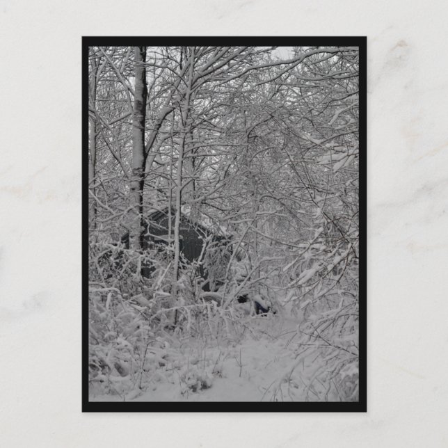 Carte Postale Cabine dans les bois (Devant)