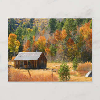 Carte Postale Cabine d'automne