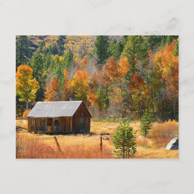 Carte Postale Cabine d'automne (Devant)