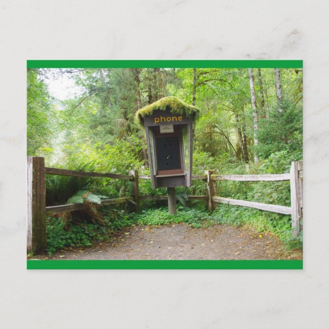 Carte Postale Cabine de téléphone Mossy - Forêt de pluie Hoh (Devant)
