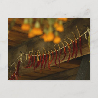 Carte Postale Cabine du journal Lincoln