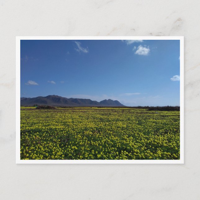 Carte Postale Cabo de Gata, Andalousie (Espagne) (Devant)