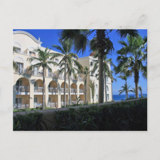 Carte Postale Cabo San Lucas Mexique Palmiers Ciel bleu