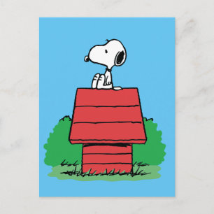 Carte Postale cacahuètes   Snoopy reposant sur la niche