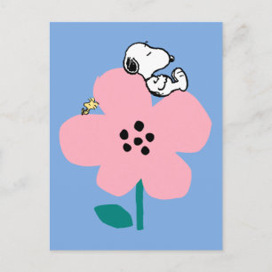 Carte Postale cacahuètes   Snoopy & Woodstock Nap sur Fleur rose