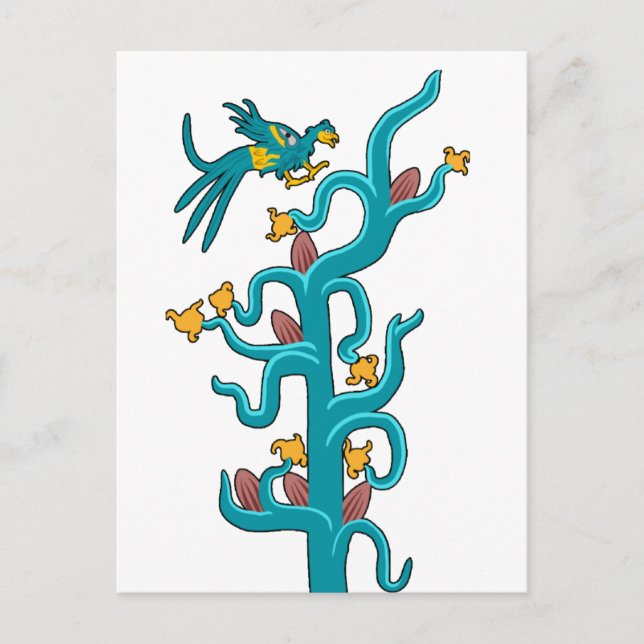 Carte Postale Cacao et Quetzal (Devant)