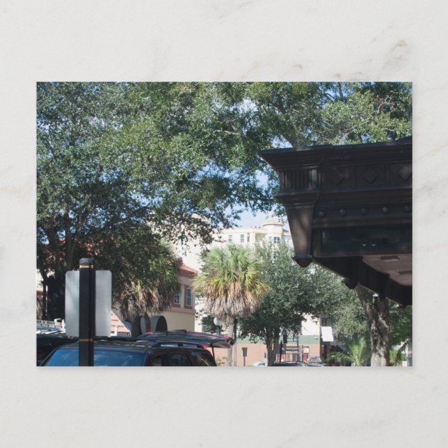 Carte Postale cacao, Floride (Devant)