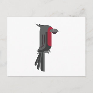 Carte Postale Cacatoès noir élégant