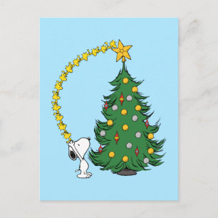Carte Postale Cachou   Décoration de l'arbre de Noël