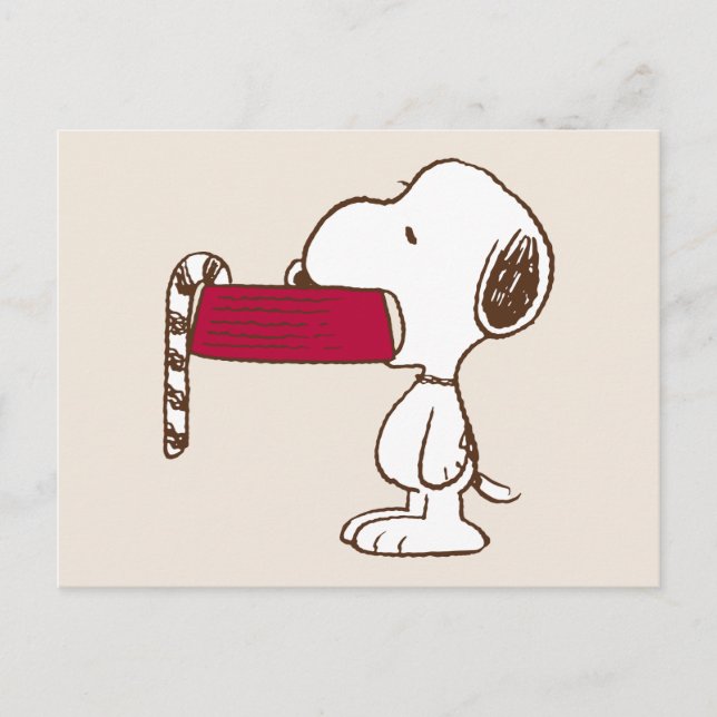 Carte Postale Cachou | Délices de fêtes (Devant)