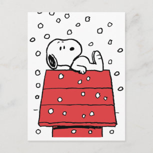 Carte Postale Cachou   Niche de Snoopy Flocons