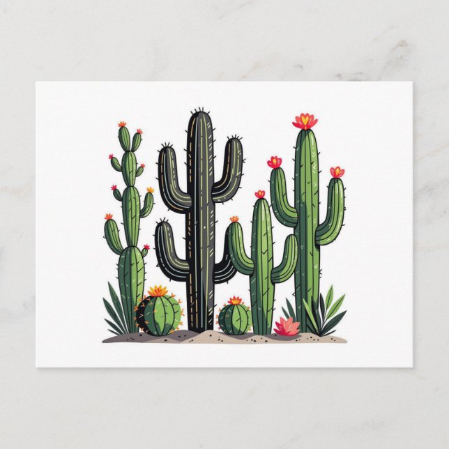 Carte Postale Cacti (Devant)