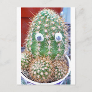 Carte Postale cactioeil