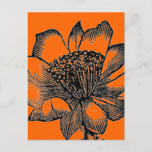 Carte postale Cactus