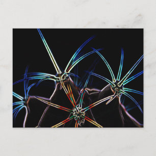 Carte Postale Cactus 1 pccna