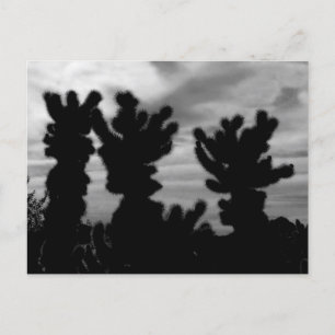 Carte Postale Cactus Cholla Ours en Peluche
