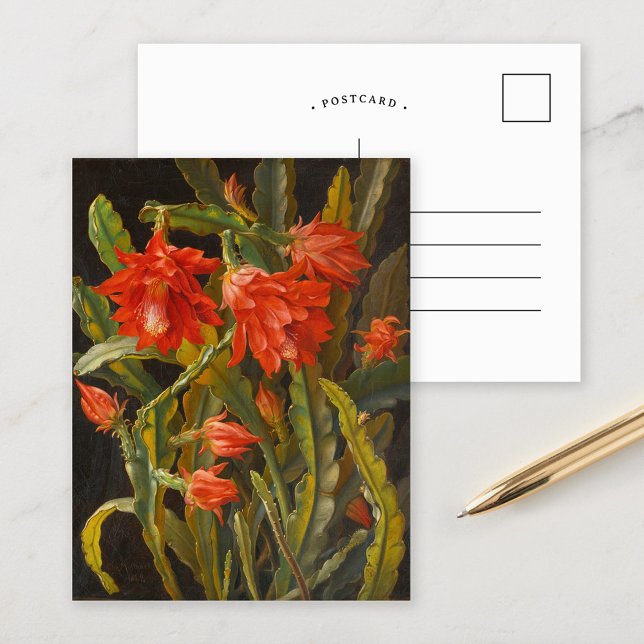 Carte Postale Cactus de Noël |  Christian Möllback (Créateur téléchargé)