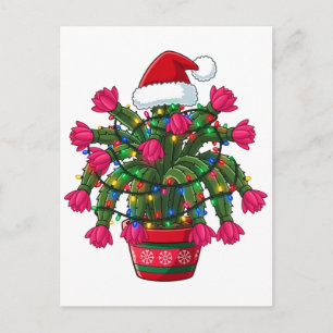 Carte Postale Cactus de Noël Schlumbergera Bridgesii Vacances