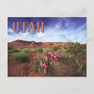 Carte Postale Cactus du désert de l'Utah