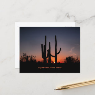 Carte Postale Cactus du Saguaro au coucher du soleil