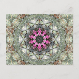Carte Postale Cactus Kaleidoscope