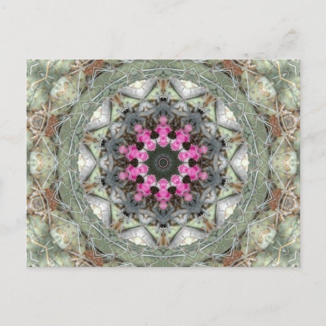 Carte Postale Cactus Kaleidoscope (Devant)