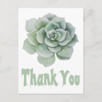 Cactus Succulent à la menthe verte en Merci floral