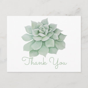 Carte Postale Cactus Succulent à la menthe verte en Merci floral