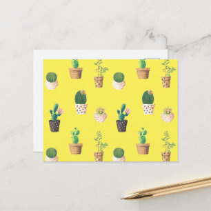 Carte Postale Cactus Succulents de Dessert Vert dans les pots