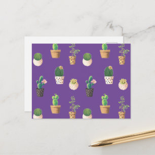 Carte Postale Cactus Succulents de Dessert Vert dans les pots