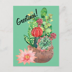 Carte Postale Cactus, Succulents, Fleur de cactus, Arrangement