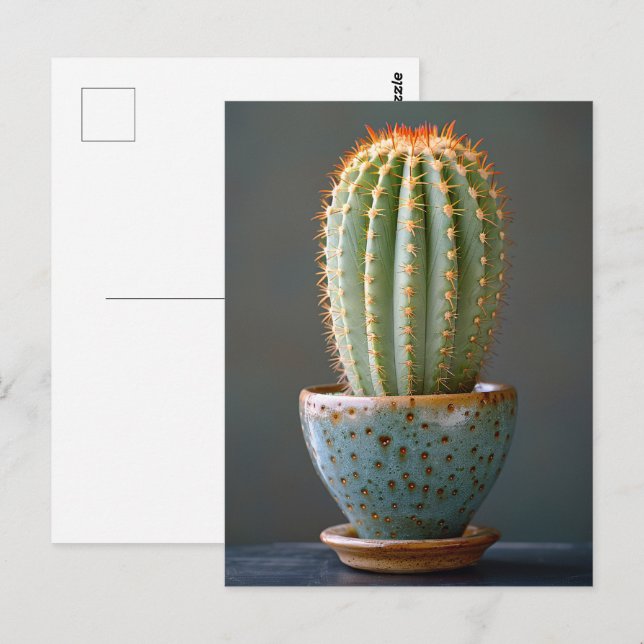 Carte Postale Cactus vert dans un pot en céramique sarcelle Phot (Devant / Derrière)