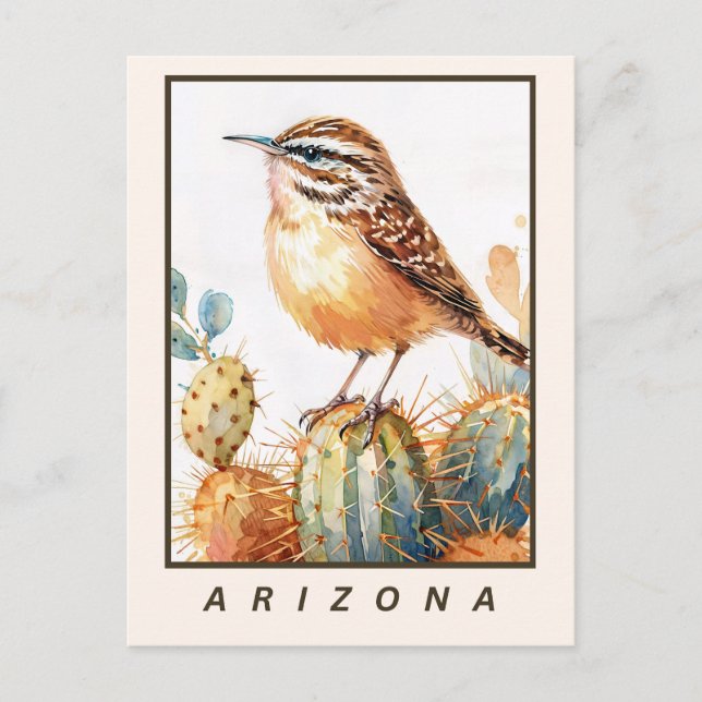 Carte Postale Cactus Wren Desert Bird Arizona State (Devant)
