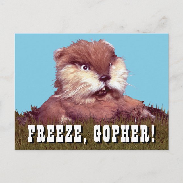 Carte Postale Caddyshack | Freeze, Gopher! (Devant)