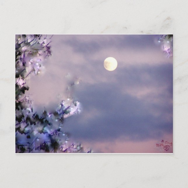 Carte Postale Cadeau aérien (Devant)