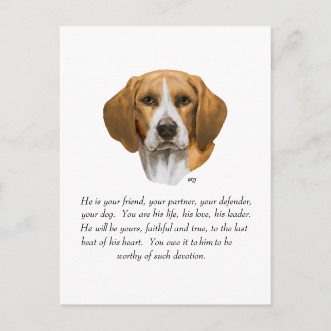 Carte Postale Cadeau Beagle MÂLE (Devant)