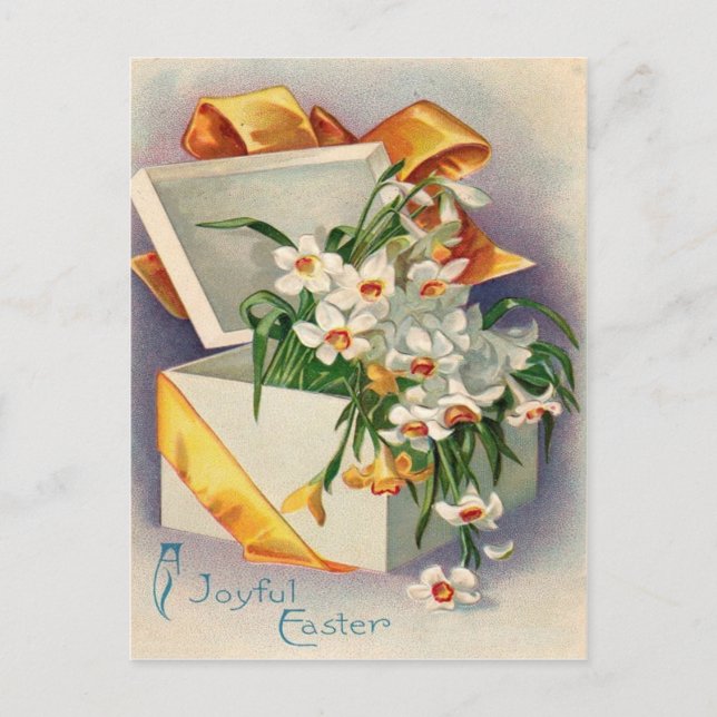 Carte Postale Cadeau cadeau Daffodil Jonquil (Devant)
