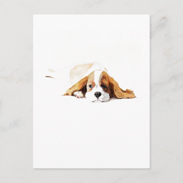 Carte postale cadeau Cavalier King Charles Spaniel (Devant)