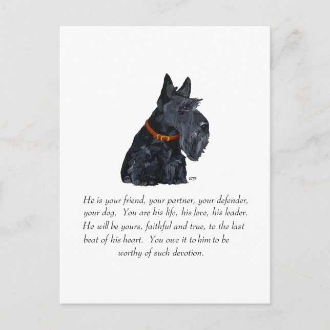 Carte Postale Cadeau commémoratif du terrier écossais (Devant)