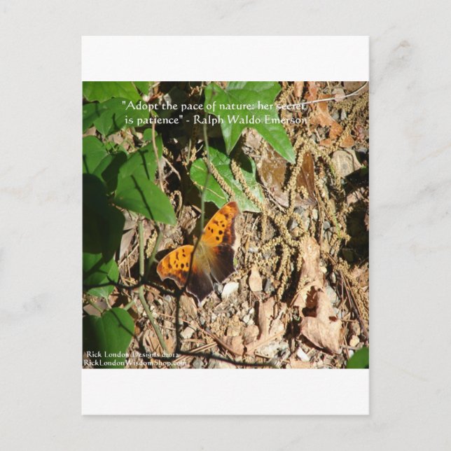 Carte Postale Cadeau de citation de sagesse "Rythme de la nature (Devant)